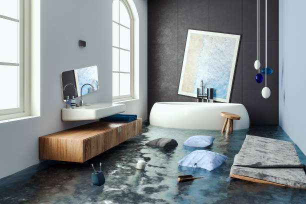 Best Water damage cleanup near me  in Plattsburgh West, NY