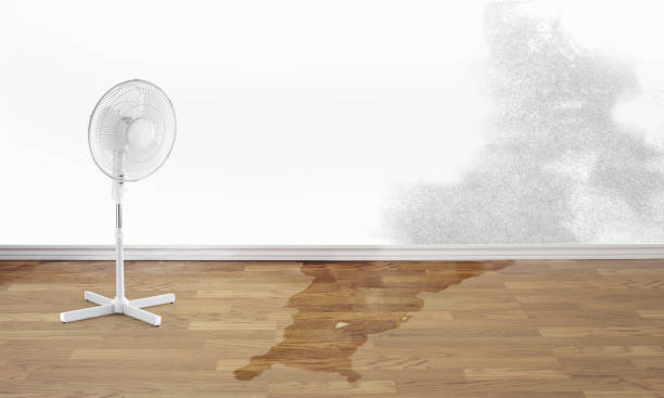 Best Water damage restoration near me  in Plattsburgh West, NY