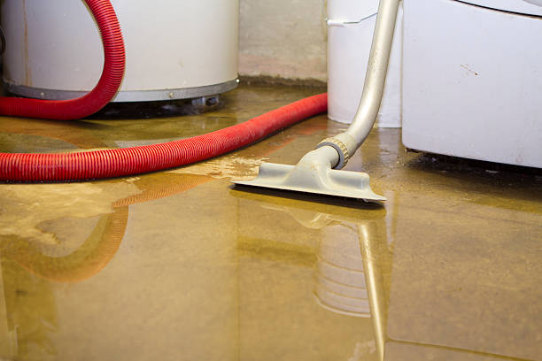 Best Professional water damage repair  in Plattsburgh West, NY
