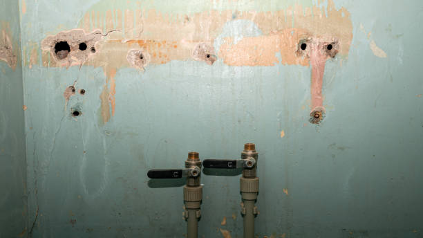 Best Local water damage restoration  in Plattsburgh West, NY