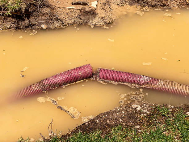 Best Sewage cleanup and water damage restoration  in Plattsburgh West, NY